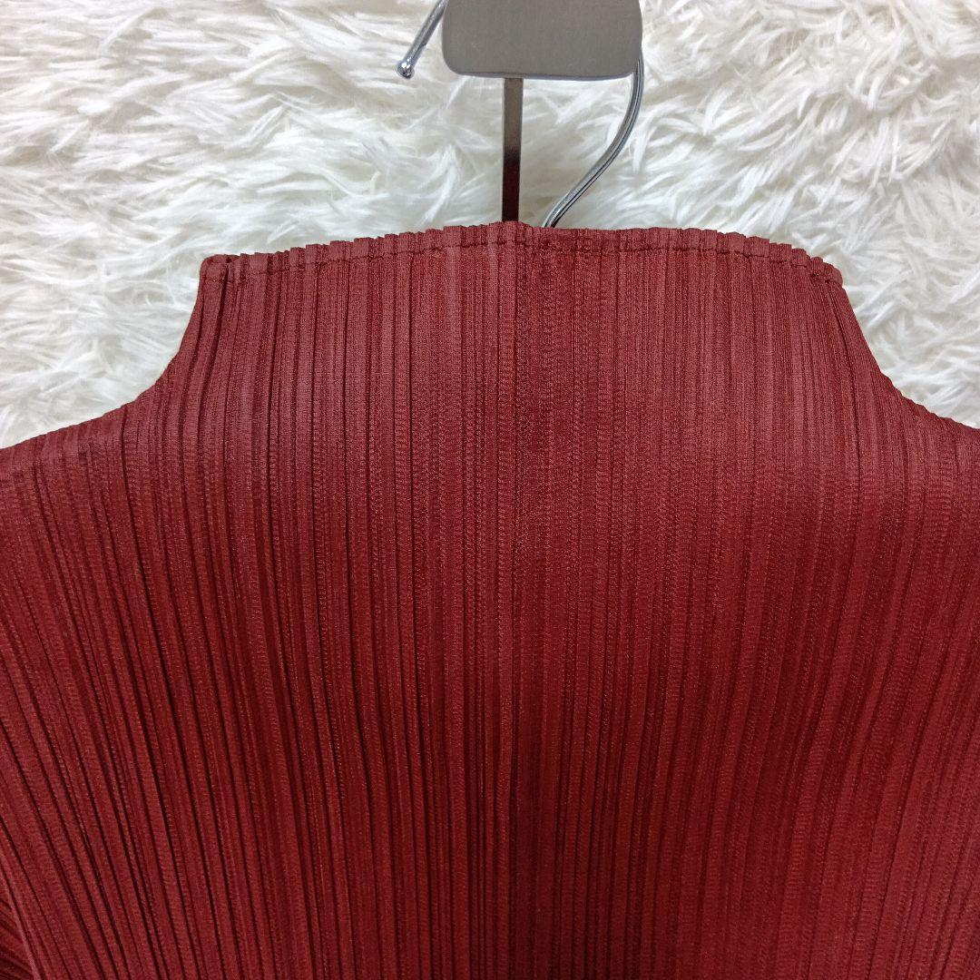 プリーツプリーズ　イッセイミヤケバーガンディ 赤茶色プリーツ 長袖 トップスМ