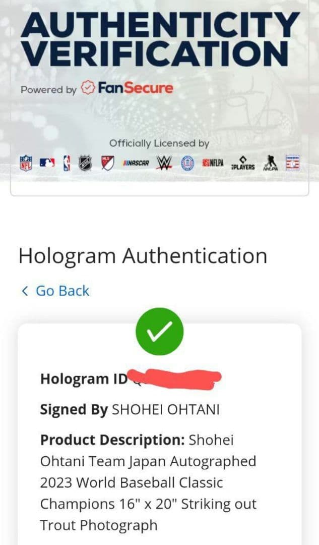 大谷翔平 直筆サイン フォト 特大写真 WBC2023決勝 優勝の瞬間