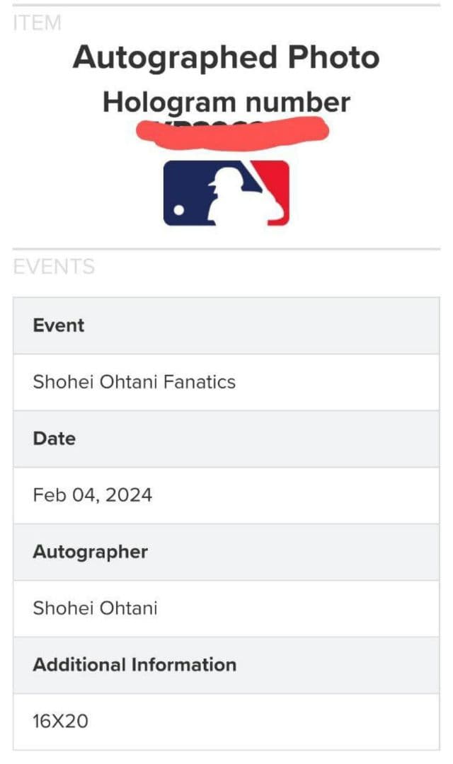 大谷翔平 直筆サイン フォト 特大写真 WBC2023決勝 優勝の瞬間