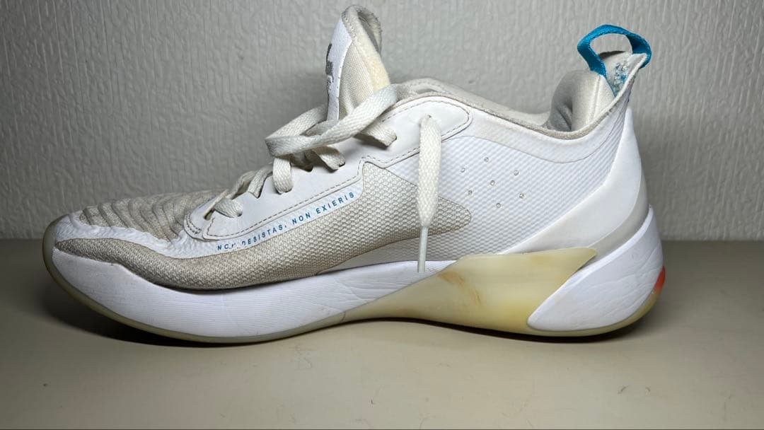 シューズ(男性用) Jordan Luka 1 PF 29cm