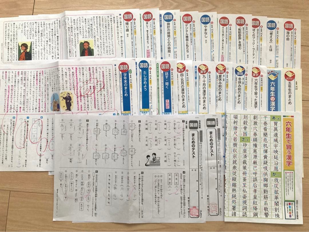 小6 国語 カラーテスト 光文書院 ぶんけい ワークシート 1年分　6年生