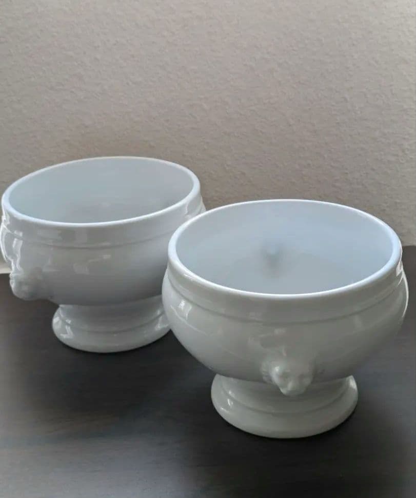 APILCO アピルコ ライオンヘッド スープボールアピルコ フランス 正規品