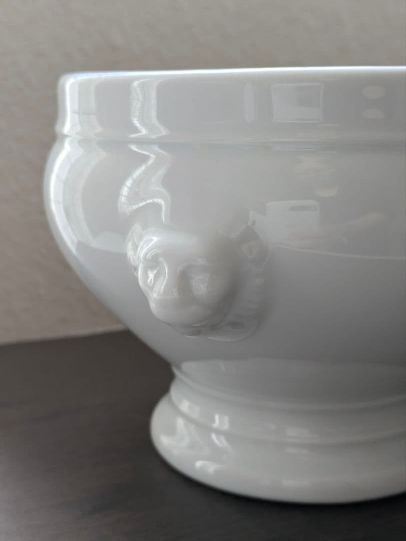 APILCO アピルコ ライオンヘッド スープボールアピルコ フランス 正規品