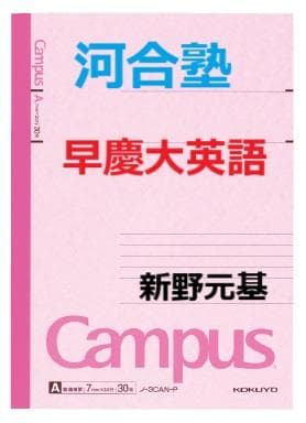 【河合塾】『早慶大英語　新野元基先生　第1講ノート』+α　東進講師　　駿台代ゼミ