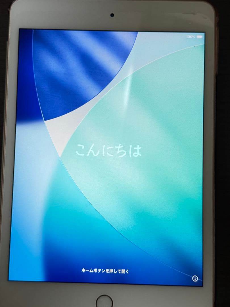 iPad mini 5 Wi-Fiモデル64GB バッテリー91%