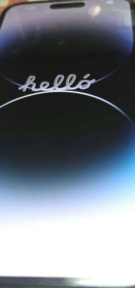 2025.2購入 Apple iPhone 14 Pro Max 128GB 黒