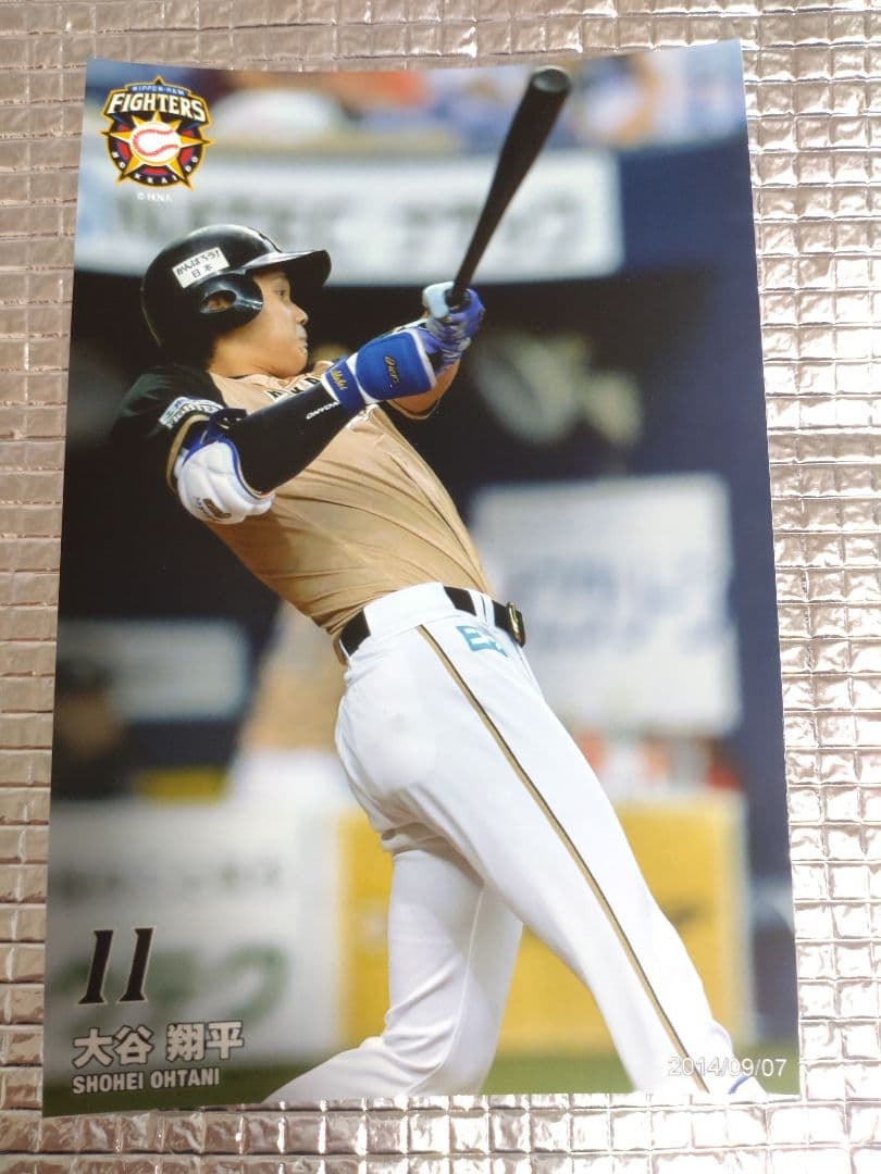 大谷翔平 2014 ハイライトフォト No.300 日本ハム 球団公式写真