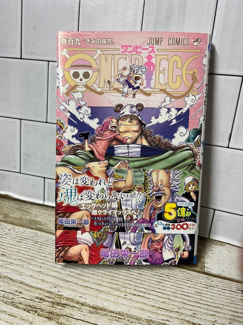 ワンピース★1巻〜110巻セット★最新刊★関連図書10冊