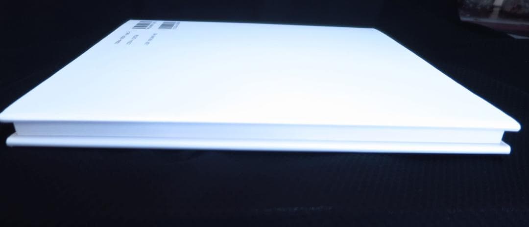 美品　菊花石の世界　石原宣夫