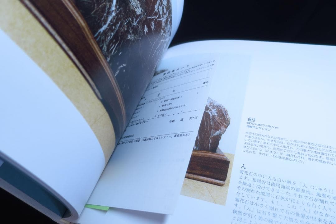 美品　菊花石の世界　石原宣夫