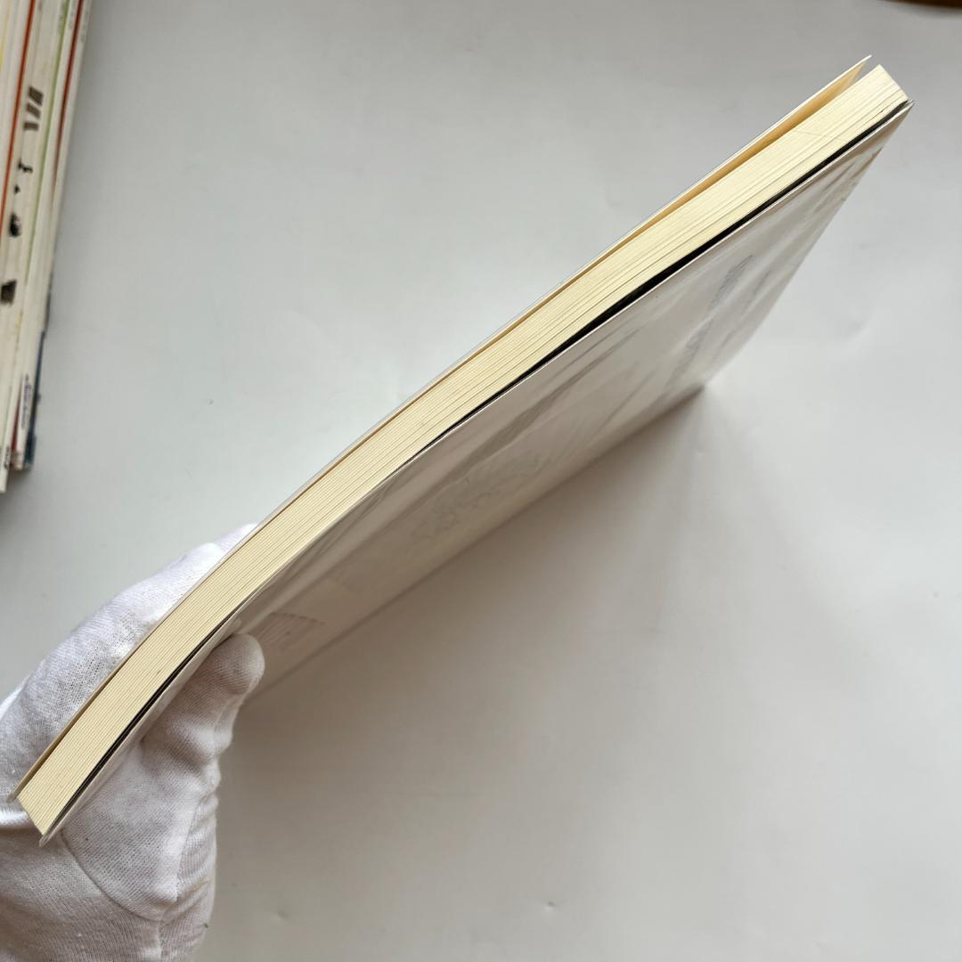 Matisse マティス Fleurs, Feuillages, Dessins