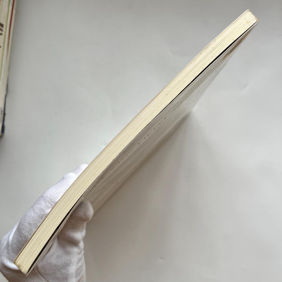 Matisse マティス Fleurs, Feuillages, Dessins