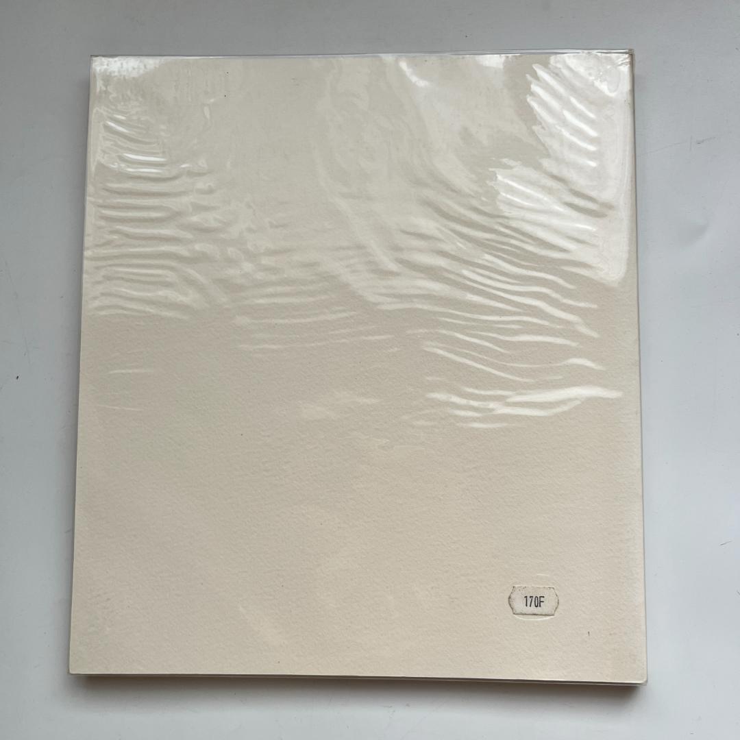 Matisse マティス Fleurs, Feuillages, Dessins