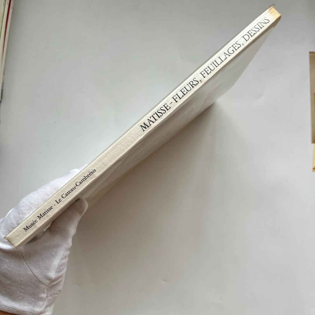 Matisse マティス Fleurs, Feuillages, Dessins