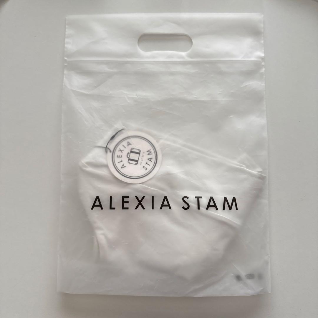 新品未使用タグ付きALEXIA STAM ハイウエストビキニパンツ S