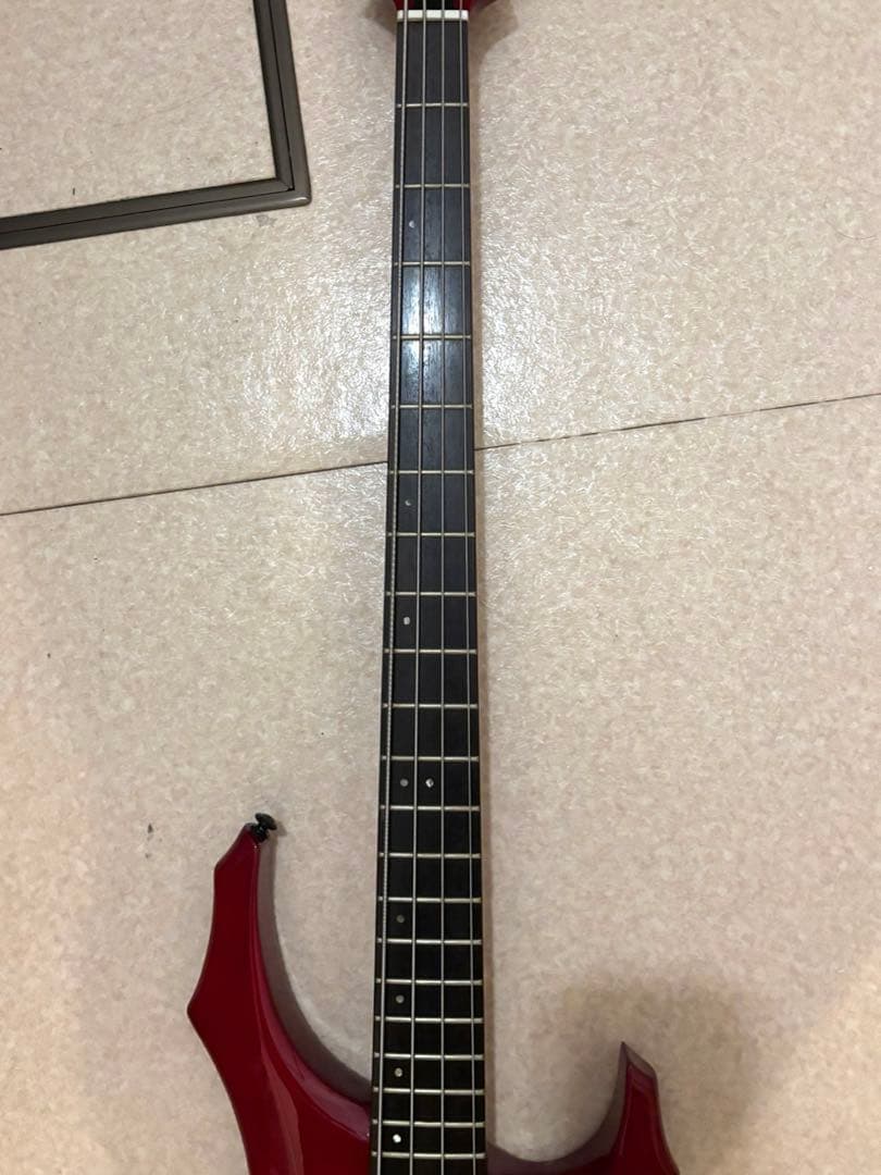 た*ぬ様 GrassRoots　グラスルーツ　フォレスト　ベース