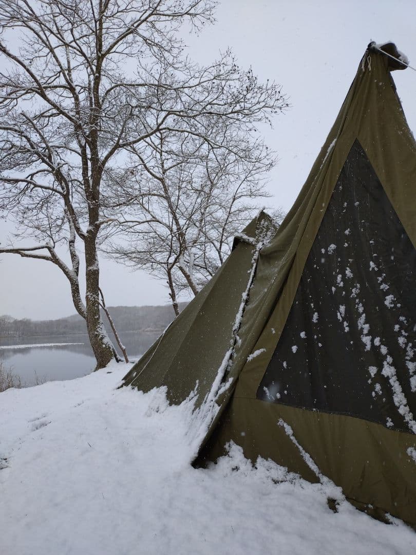 【人気】WAQ AlphaTC SOLO DX＆フロントウォールセット