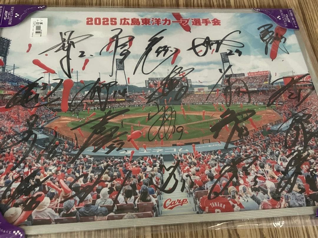ご*ん様 広島東洋カープ2025年選手会サイン入り写真パネル【非売品】
