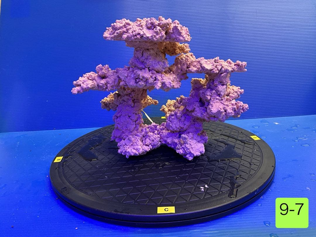 人工ライブロック　No.9-7 CO2 無害化処理済