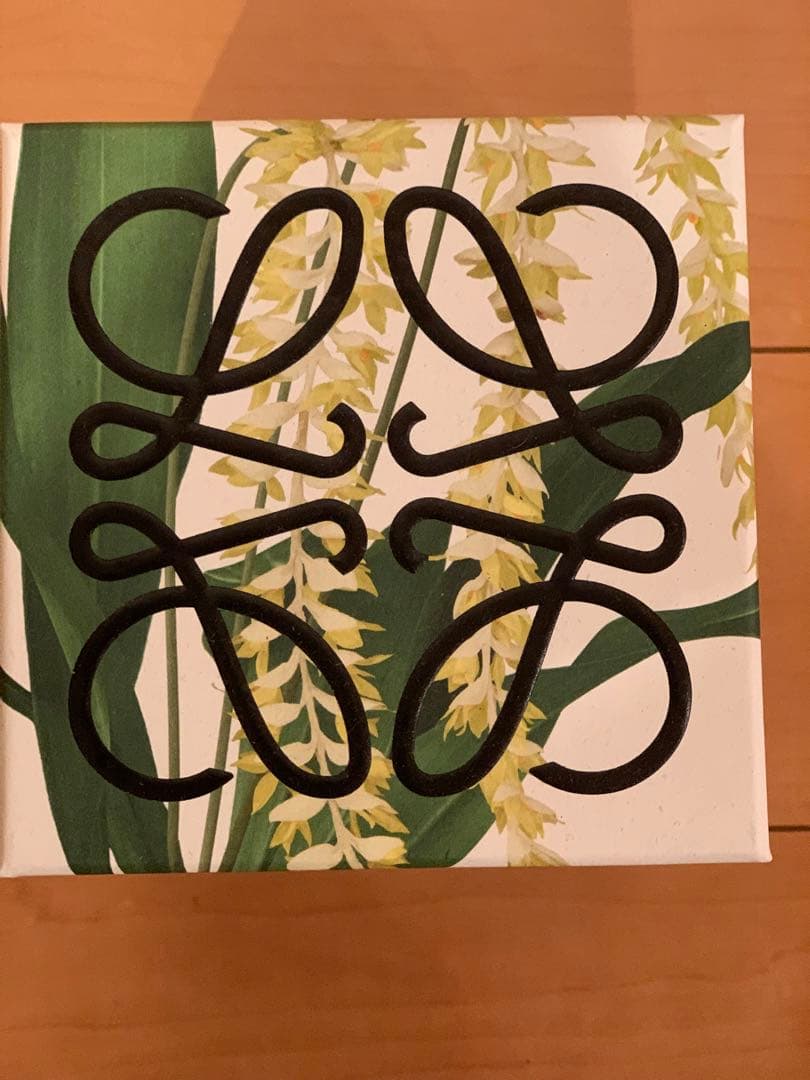 [LOEWE]Dendrochilum Magnum Orchid キャンドル