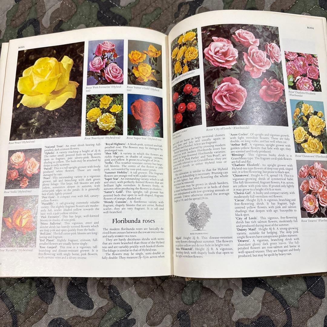 洋書 Reader'sDigestGardenPlantsEncyclopaedia