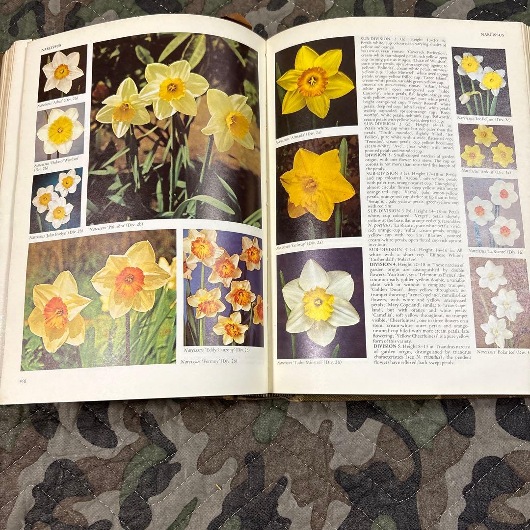 洋書 Reader'sDigestGardenPlantsEncyclopaedia