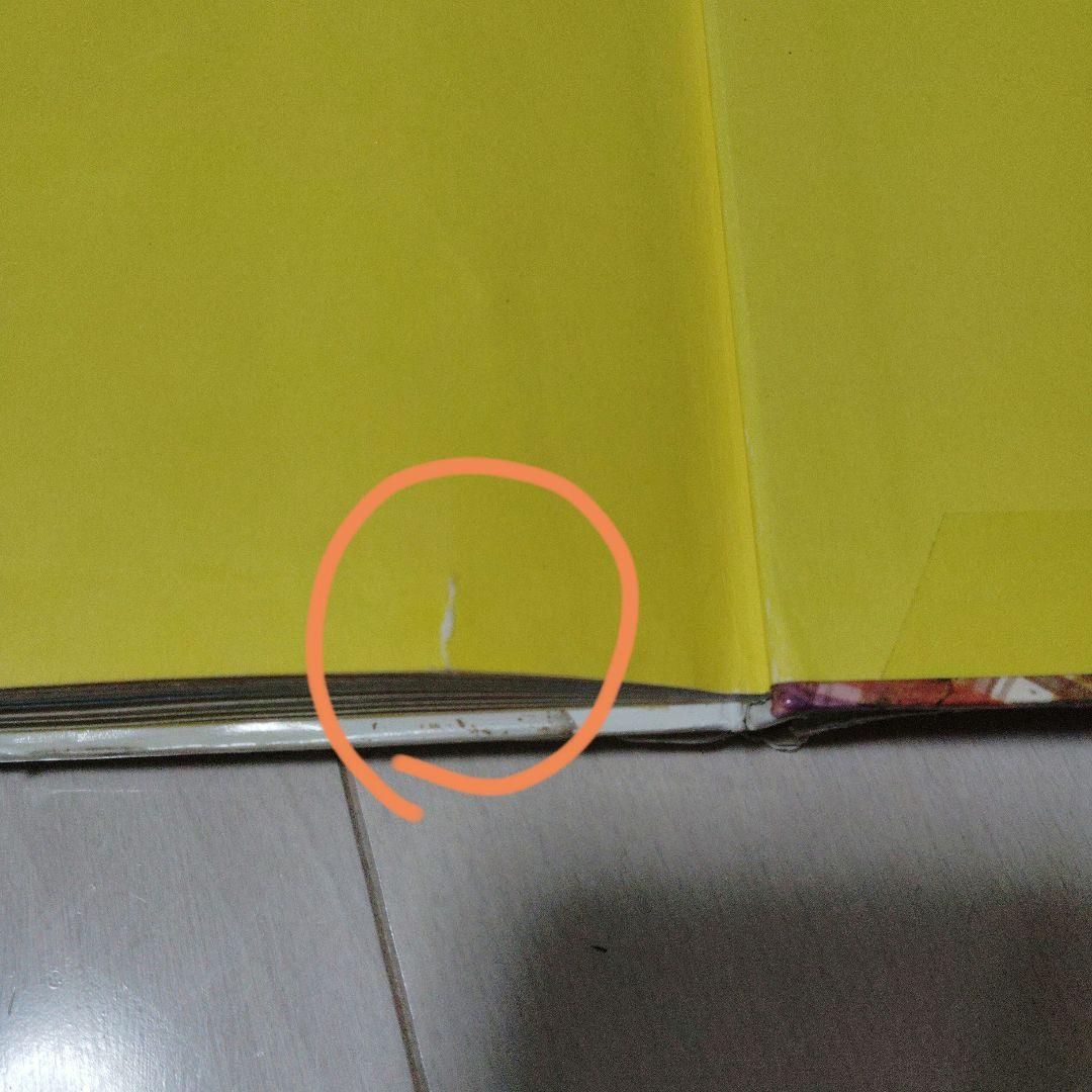 初版 絵本 図書館除籍本 「キャンディと枯葉色のやかた」ポプラ社　いがらしゆみこ