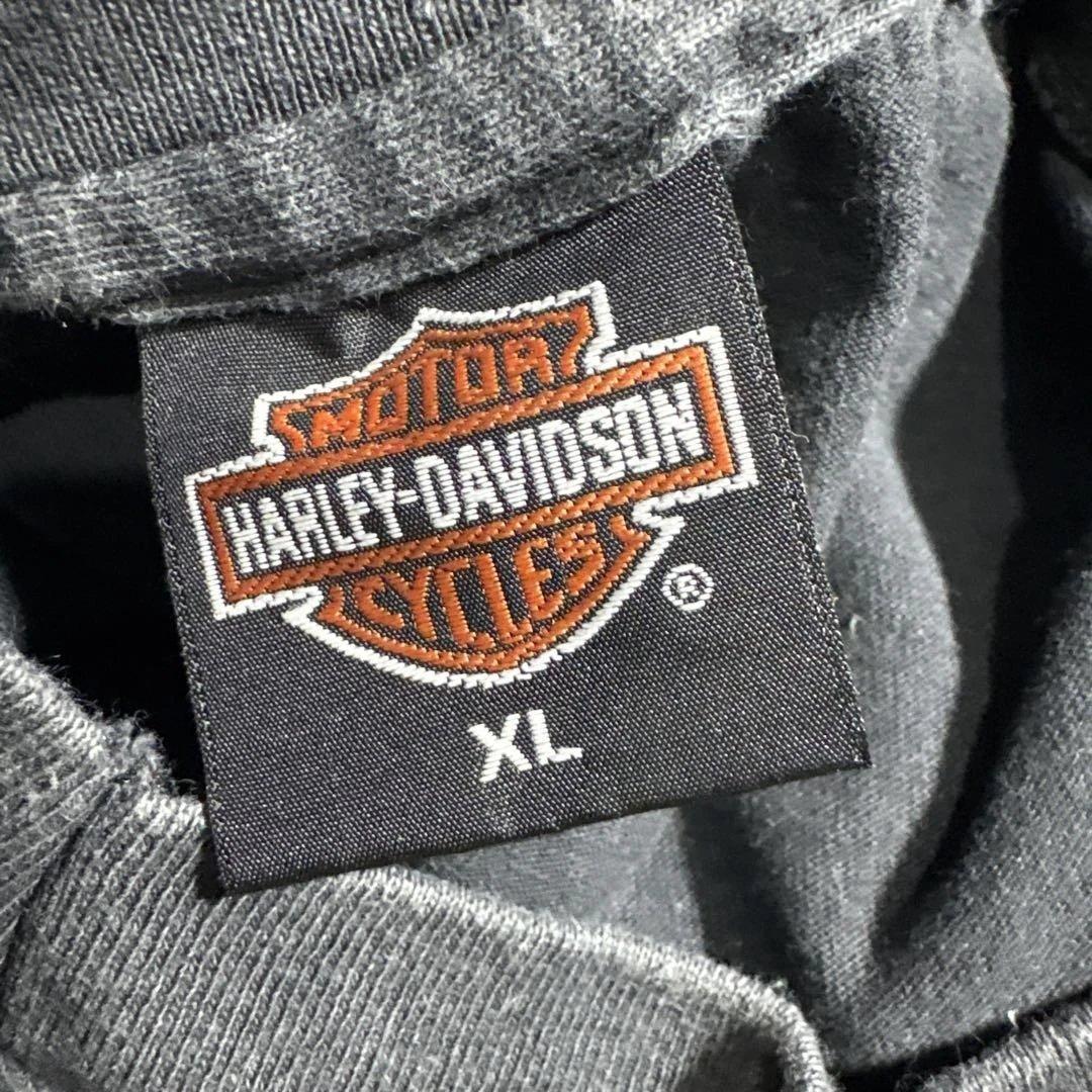 Harley-Davidson ロンt フレイムス　ブラック　シングルステッチ