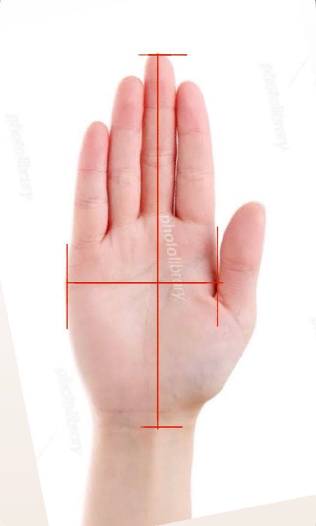 ⭐️美品⭐️HESTRA ヘストラ スキー スノーボード レザー ミトン グローブ