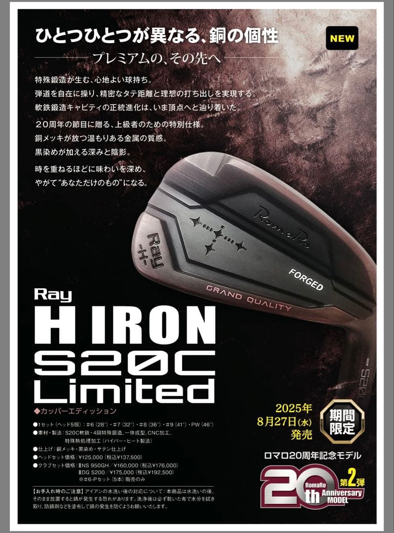 クラブ Ray H IRON S20C Limited 6-P(KBS C-taper)