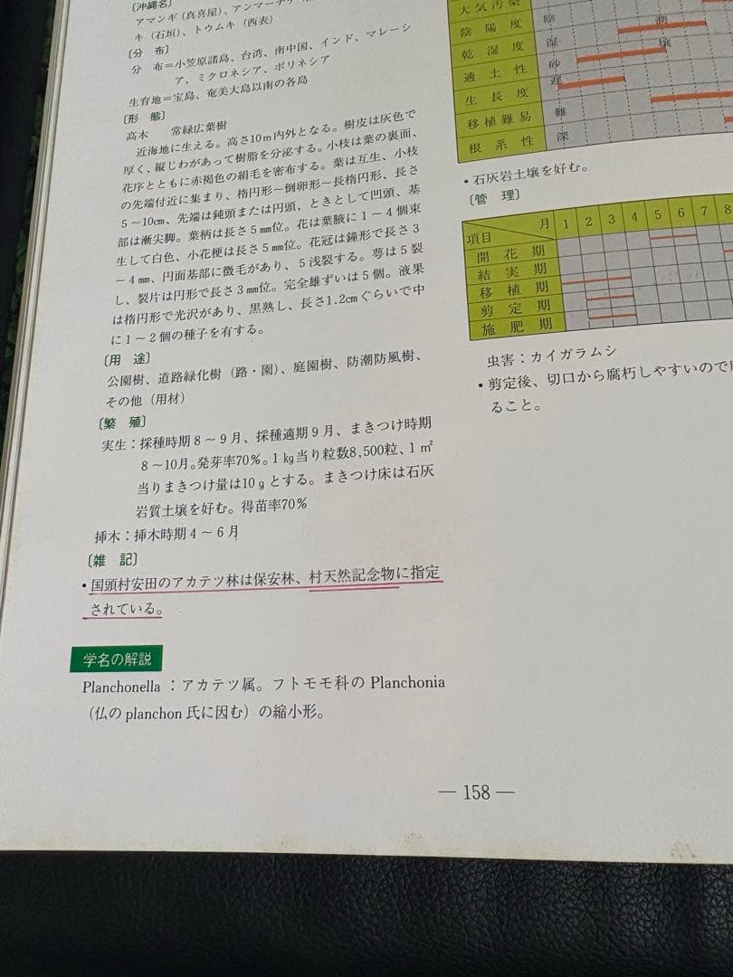 カラー版 沖縄の樹木 庭から公園までの緑化植物集 新興出版社