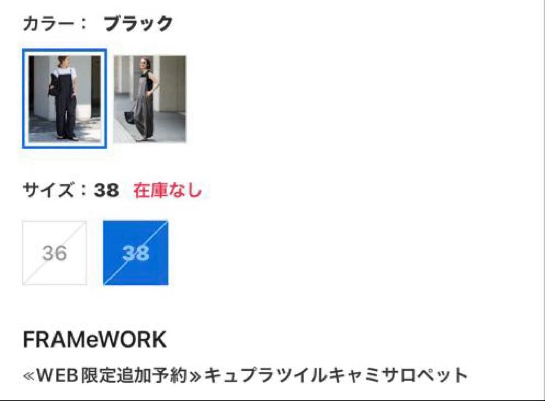フレームワーク　キュプラツイルキャミサロペット　38