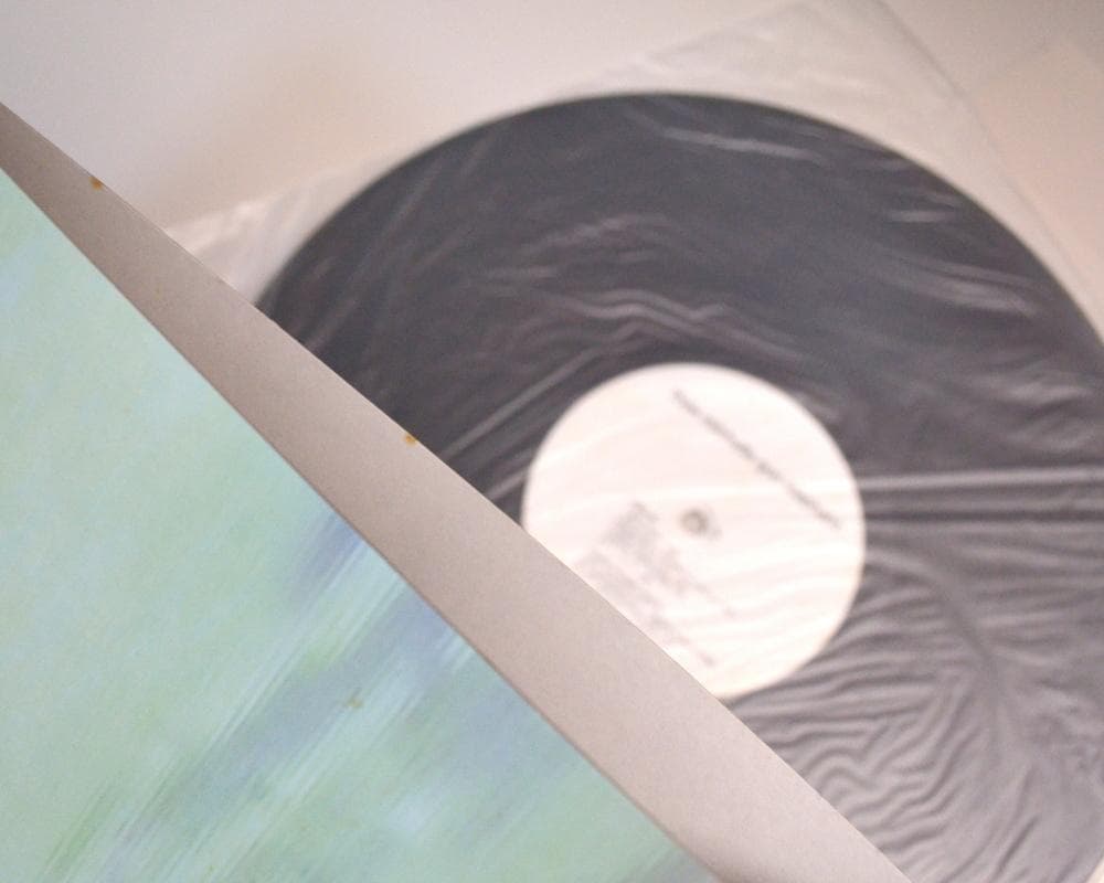 ミッシェルガンエレファント is this High Time? アナログ盤