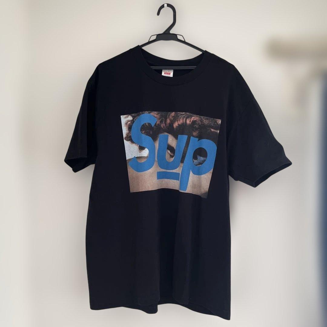 【最高コラボ】シュプリーム　アンダーカバーコラボ堕天使ロゴ　Tシャツ　L