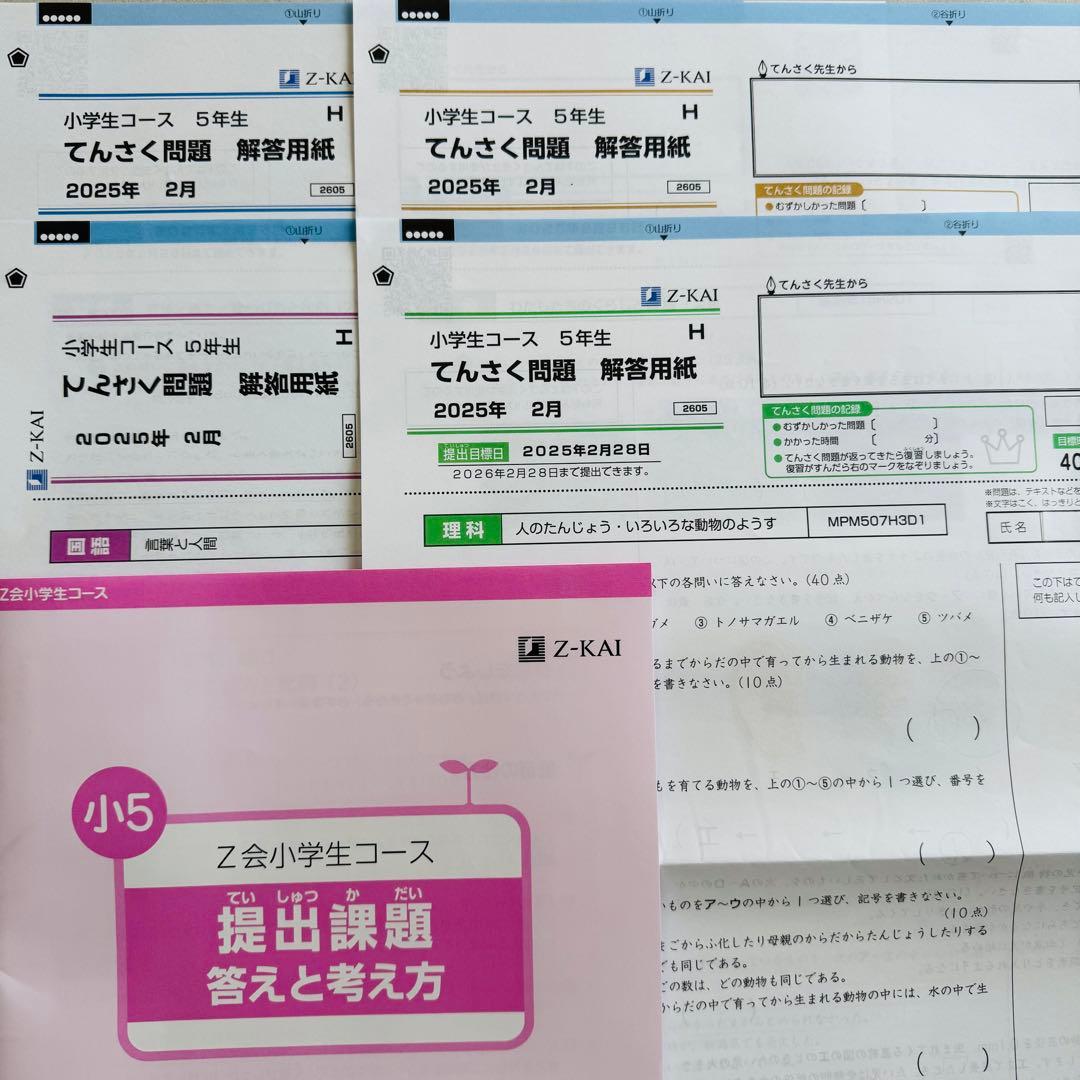 Ｚ会 エブリスタディ 小学5年生 ハイレベル 最新版 1年分
