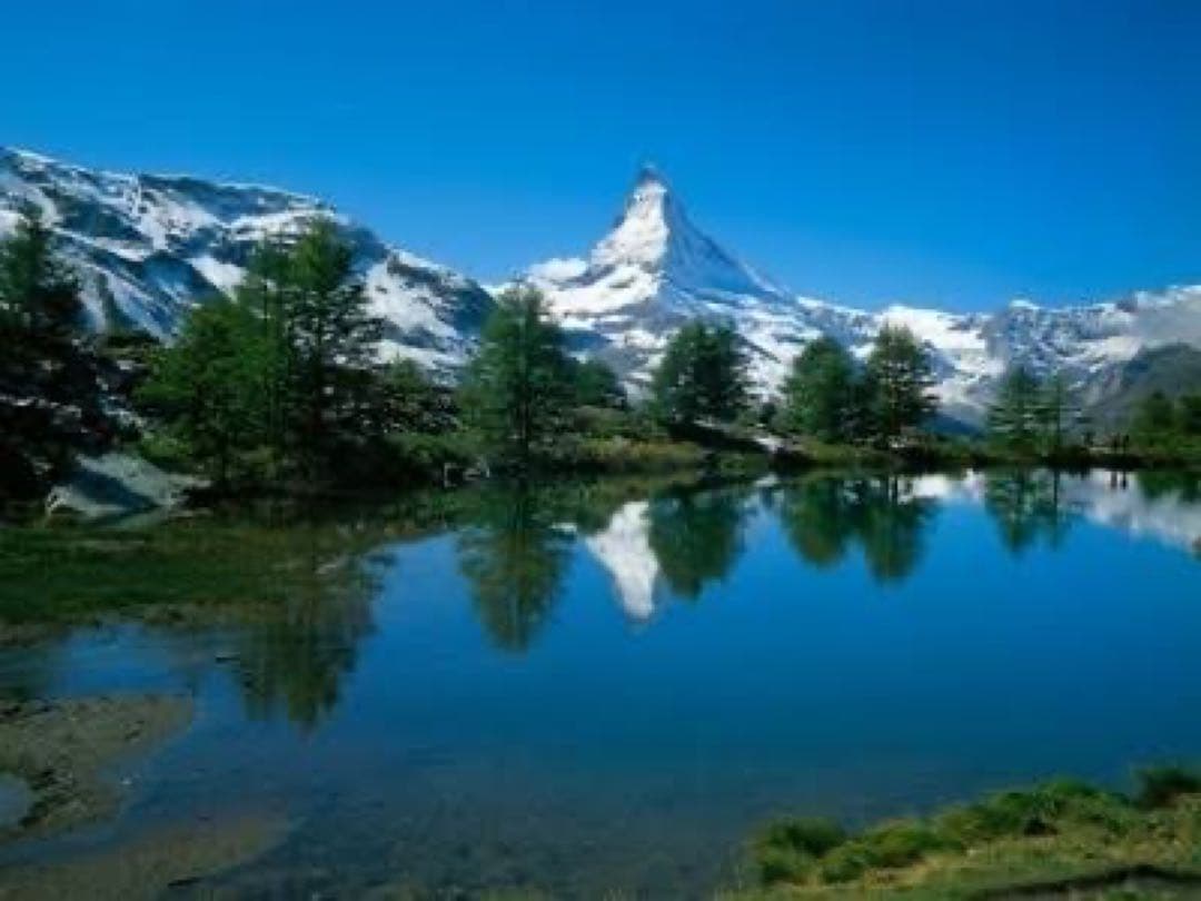 ラコリーヌ　最高峰ライン ネイティブエイジアイクリーム