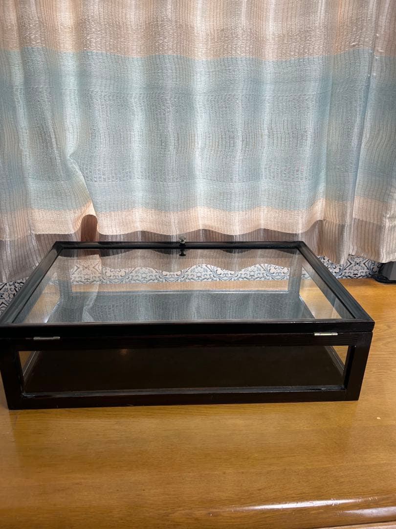 アンティークケース　ディスプレイケース　フランス