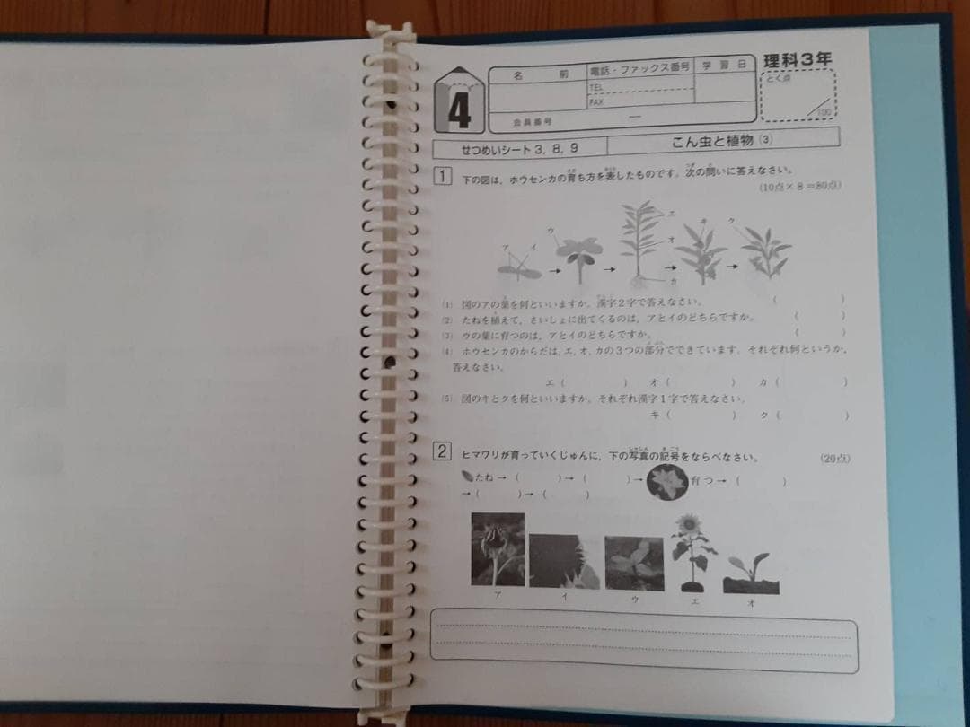 自宅学習教材　理科　小学３年〜６年　DVD付