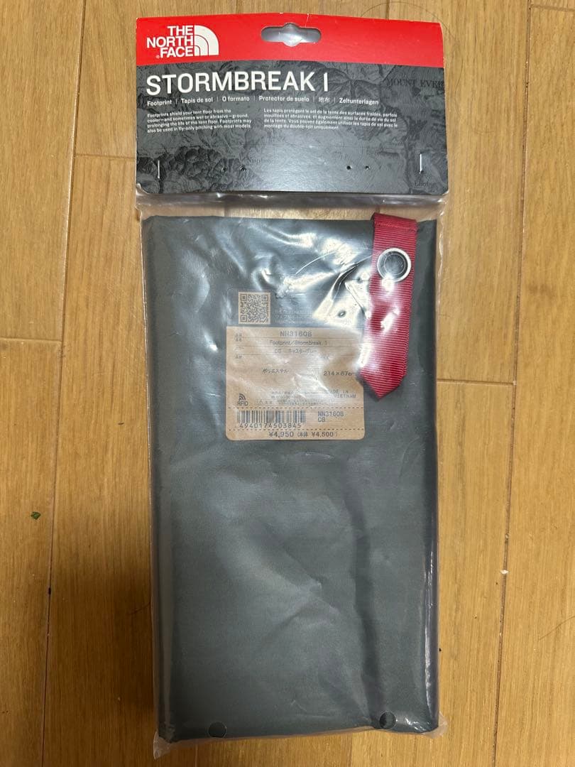 海外限定色　THE NORTHFACEノースフェイスSTORM BREAK 1