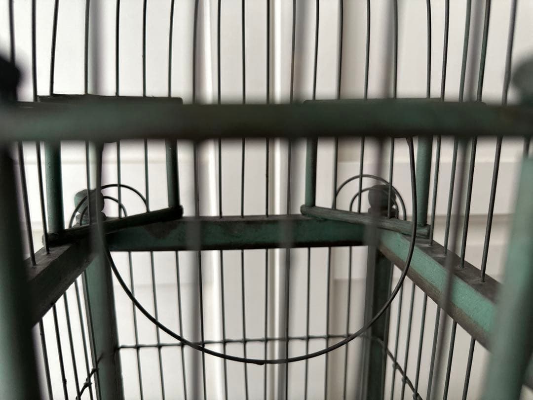 フランス アンティーク バードケージ 鳥かご 鳥籠 antique ゲージ