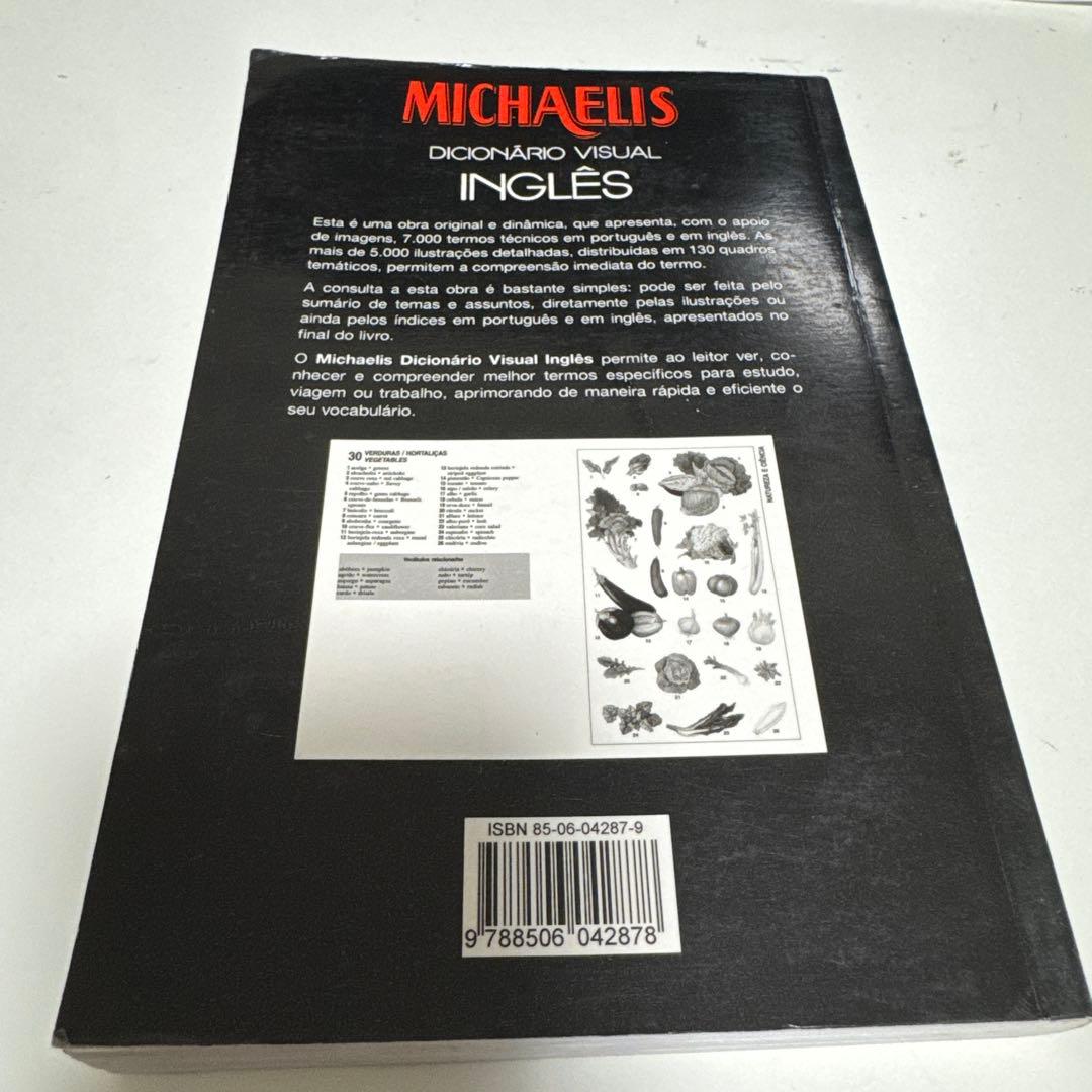MICHAELIS DICIONÁRIO VISUAL INGLÊS