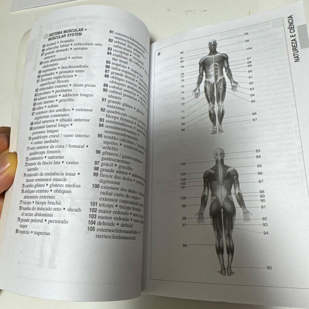 MICHAELIS DICIONÁRIO VISUAL INGLÊS