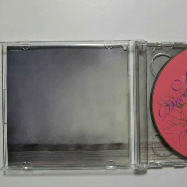 嵐 Dream A live 初回限定版