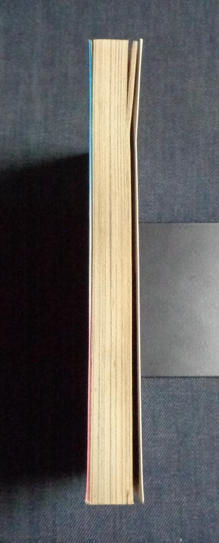 女子プロレス秘話 セメント・マリー 中野喜雄 昭和60年3月 日本文芸社