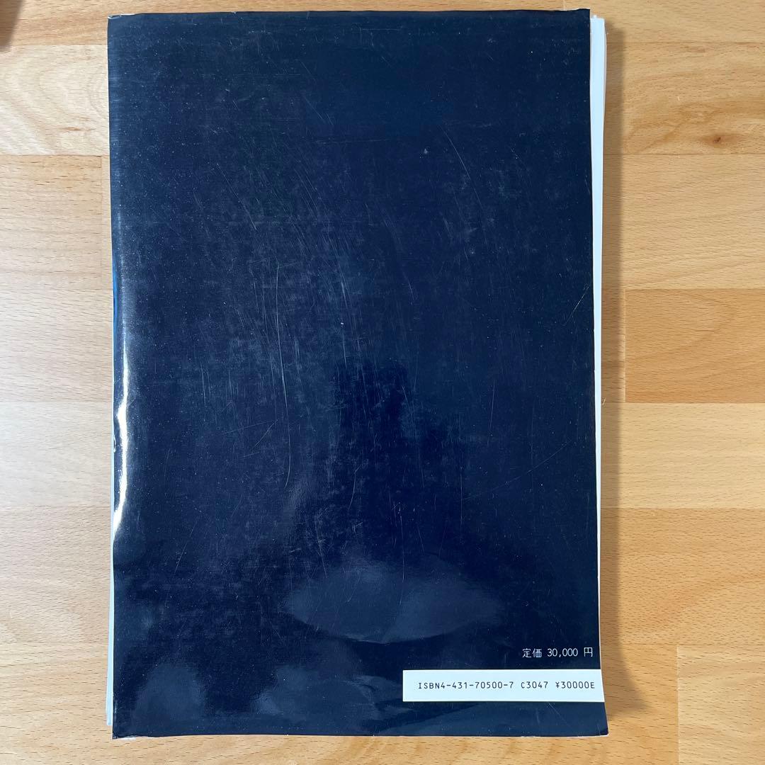 【※裁断済】骨折治療法　機能的・保存的療法