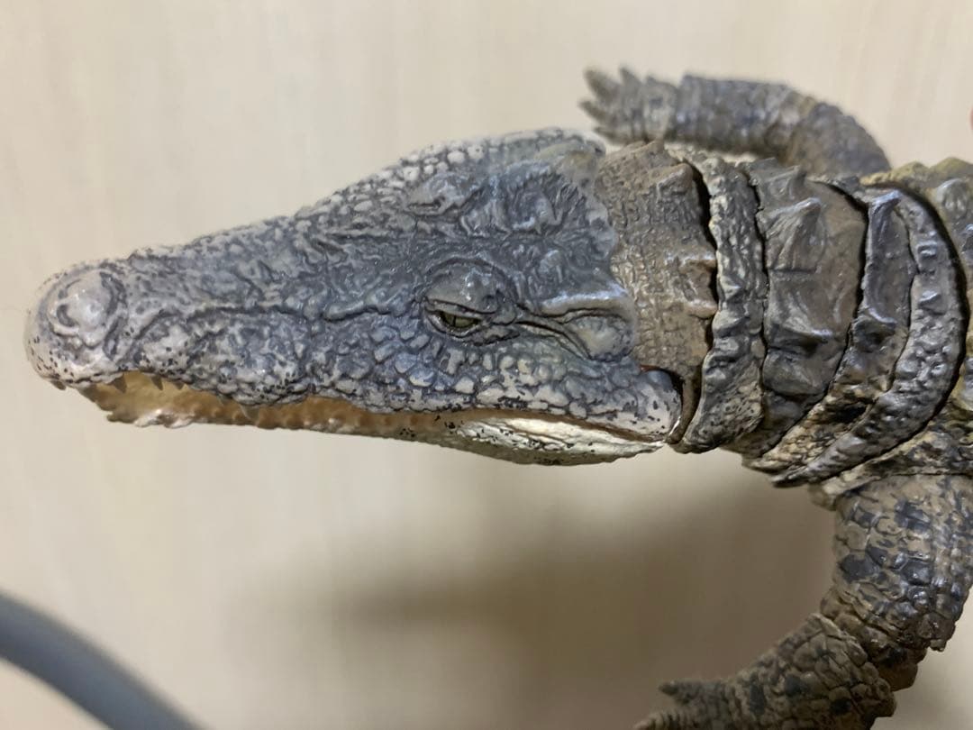 ガシャポンオンライン　いきもの大図鑑　アルティメット　ナイルワニ