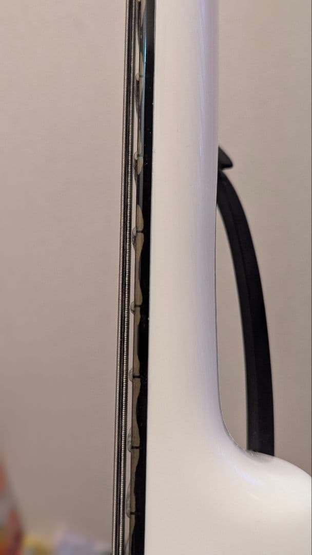 スタインバーガー　シナプス　 Steinberger Synapse