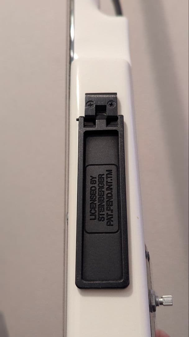 スタインバーガー　シナプス　 Steinberger Synapse