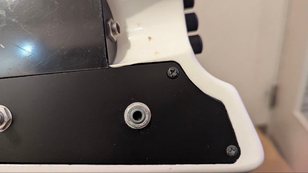 スタインバーガー　シナプス　 Steinberger Synapse