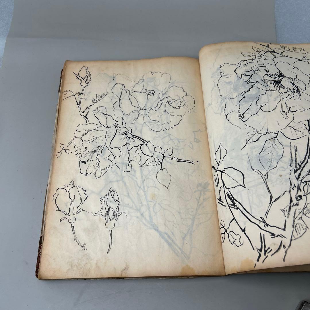 華風景 明治時代 鹿児島圭吾